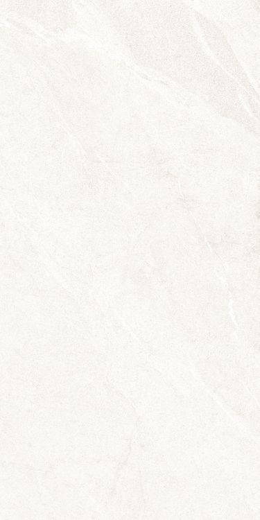Dhara White Matte 24 x 48